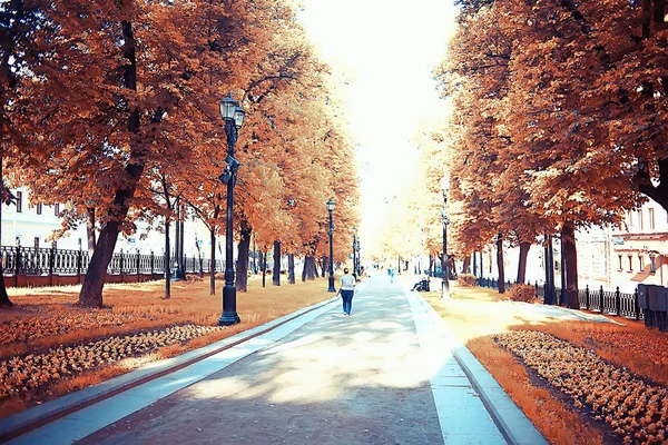 Paisaje Otoño Parque Concepto Naturaleza Paisaje Estacional Estación Otoño Bosque — Foto de Stock