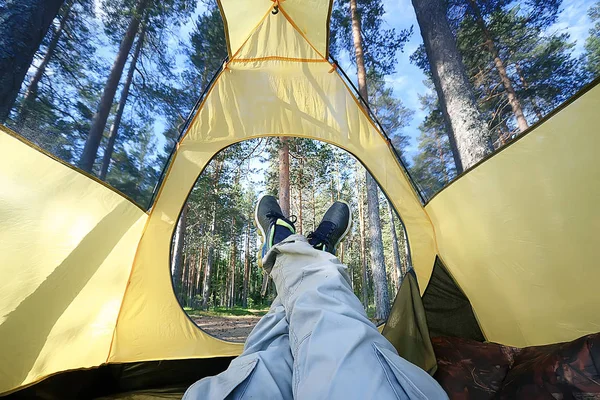 Tente Touristique Intérieur Forêt Été Vacances Été Dans Forêt Tente — Photo