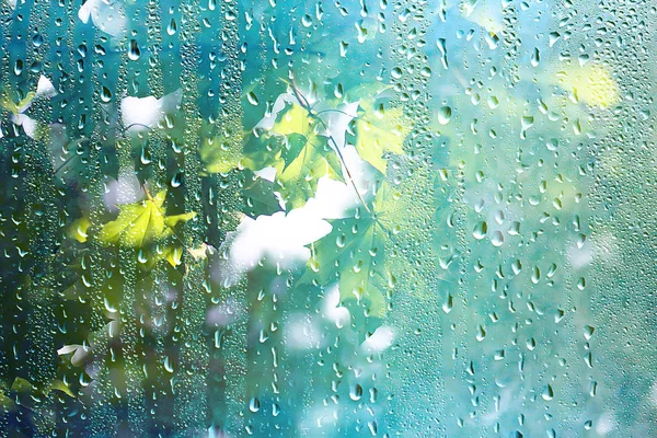 Sommer Regen Nasses Glas Abstrakter Hintergrund Landschaft Einem Regnerischen Tag — Stockfoto