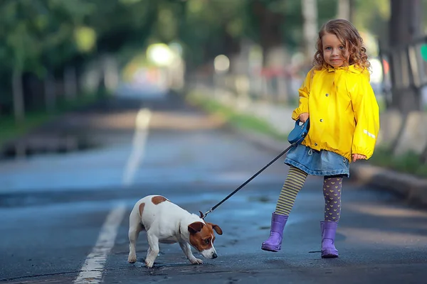 Petite Fille Avec Chien Jack Russell Terrier Enfant Amitié Enfance — Photo