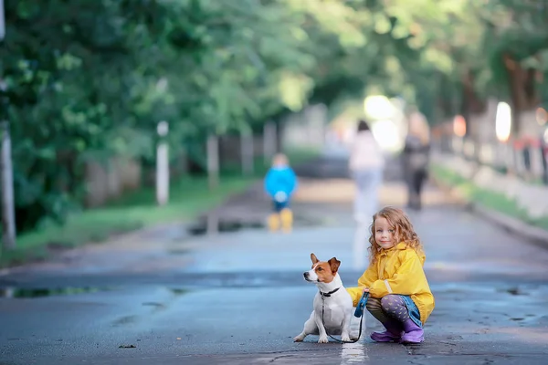 Маленька Дівчинка Собакою Джек Россел Тер Дружба Дитинства Домашня Тварина — стокове фото