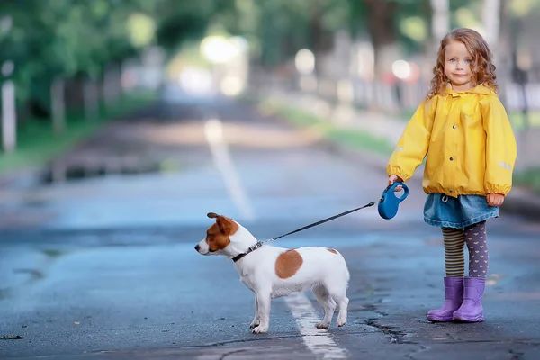 犬ジャックラッセルテリア 子供の子供時代の友情 ペット 秋の公園の散歩で小さな犬を持つ小さな女の子 — ストック写真