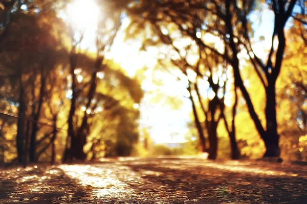 秋の公園の太陽の風景 黄色い公園の季節の秋の風景 10月の日没時の太陽の光 — ストック写真