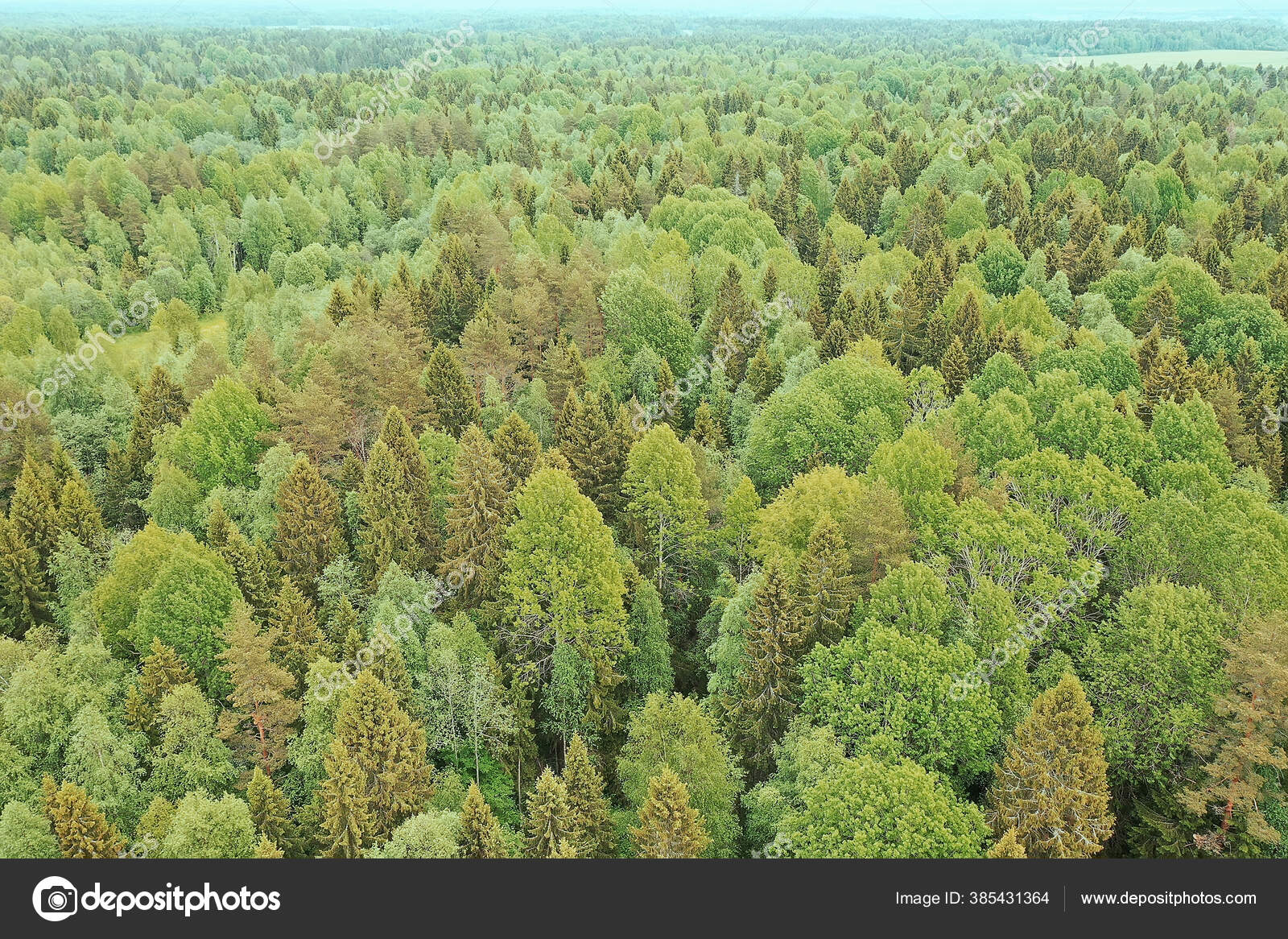 Pemandangan Atas Hutan Pemandangan Panorama Pemandangan Hutan Musim Panas Dengan Stok Foto C Xload 385431364