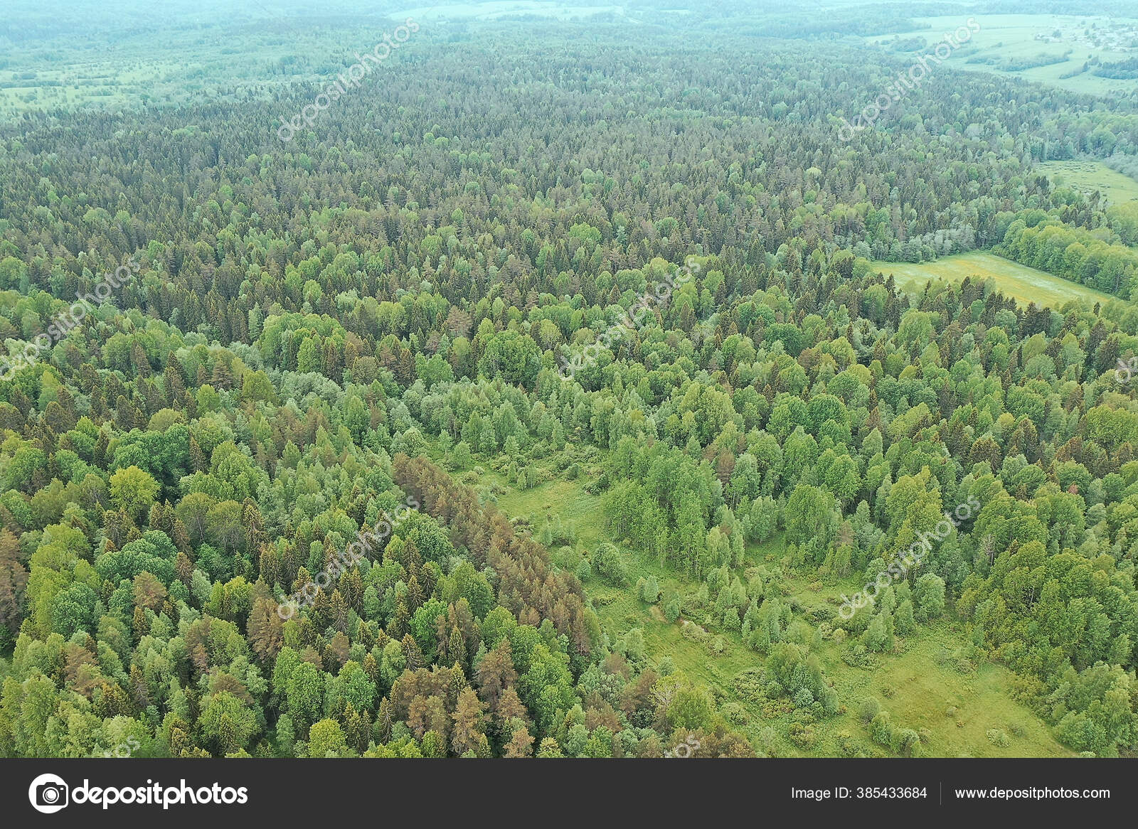 Pemandangan Atas Hutan Pemandangan Panorama Pemandangan Hutan Musim Panas Dengan Stok Foto C Xload 385433684