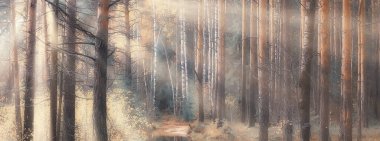 Sonbahar manzarası arka plan, ormandaki güneş ışınları, park, mevsimlik ağaçlar ekim ayı manzarası