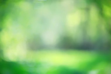 soyut yeşil yaz bokeh arkaplanı, gradyan görünüm sanat dokusu parıltısı