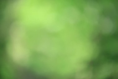 soyut yeşil yaz bokeh arkaplanı, gradyan görünüm sanat dokusu parıltısı