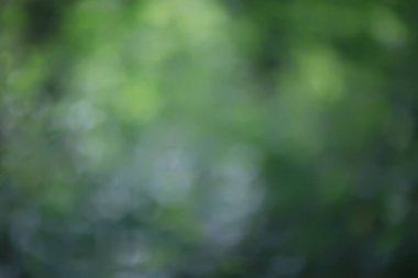 soyut yeşil yaz bokeh arkaplanı, gradyan görünüm sanat dokusu parıltısı