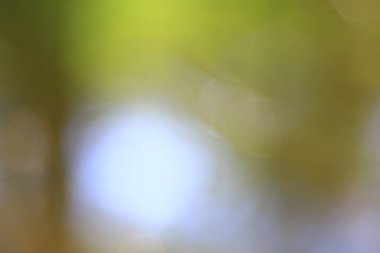 soyut yeşil yaz bokeh arkaplanı, gradyan görünüm sanat dokusu parıltısı