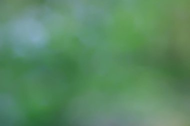 soyut yeşil yaz bokeh arkaplanı, gradyan görünüm sanat dokusu parıltısı