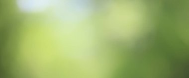 yeşil arkaplan, panoramik görünüm uzun zamandır bulanık yeşil yaz soyut