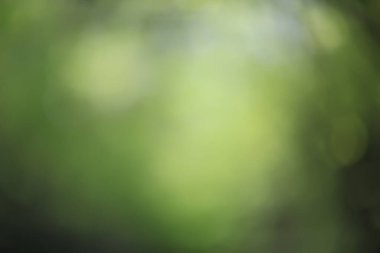 soyut yeşil yaz bokeh arkaplanı, gradyan görünüm sanat dokusu parıltısı