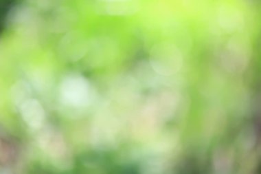 soyut yeşil yaz bokeh arkaplanı, gradyan görünüm sanat dokusu parıltısı