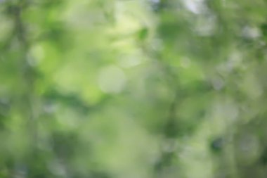 soyut yeşil yaz bokeh arkaplanı, gradyan görünüm sanat dokusu parıltısı