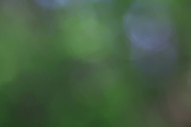 soyut yeşil yaz bokeh arkaplanı, gradyan görünüm sanat dokusu parıltısı