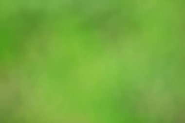 soyut yeşil yaz bokeh arkaplanı, gradyan görünüm sanat dokusu parıltısı