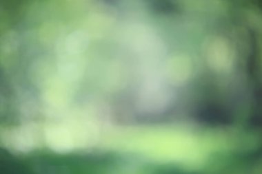 soyut yeşil yaz bokeh arkaplanı, gradyan görünüm sanat dokusu parıltısı
