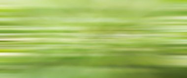 soyut bulanık arkaplan hareketi yeşil renk mevsimlik yaz mevsimi bulanık doğa yaprakları