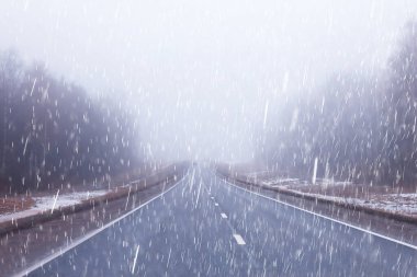 Avrupa 'da sonbahar otoban yağmuru ve sis, tehlikeli yol, kötü hava