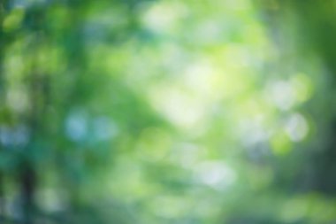 soyut yeşil yaz bokeh arkaplanı, gradyan görünüm sanat dokusu parıltısı