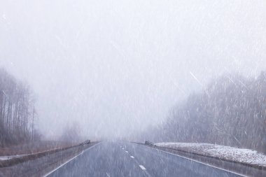 Avrupa 'da sonbahar otoban yağmuru ve sis, tehlikeli yol, kötü hava