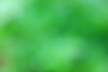 soyut yeşil yaz bokeh arkaplanı, gradyan görünüm sanat dokusu parıltısı