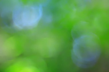 soyut yeşil yaz bokeh arkaplanı, gradyan görünüm sanat dokusu parıltısı