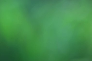soyut yeşil yaz bokeh arkaplanı, gradyan görünüm sanat dokusu parıltısı