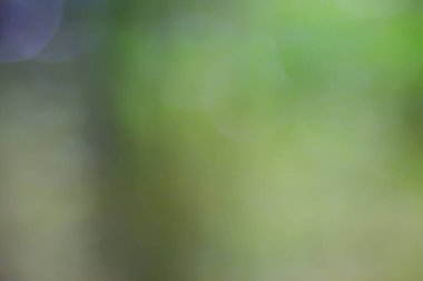soyut yeşil yaz bokeh arkaplanı, gradyan görünüm sanat dokusu parıltısı