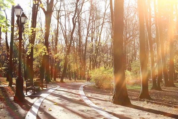 Höst Landskap Bakgrund Solstrålar Skogen Park Träd Säsongsutsikt Oktober — Stockfoto