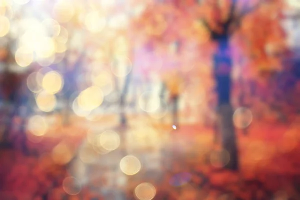 Blurred Background Autumn Forest Abstract Art Sunny Autumn Park Glow — Stock Photo, Image