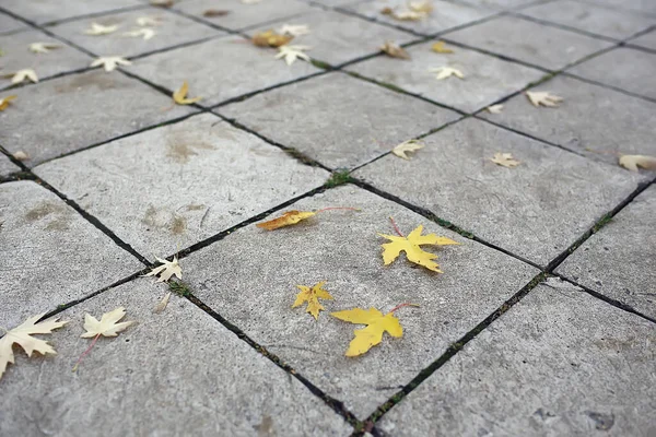 가을의 추상적 공원의 계절적 디자인 — 스톡 사진