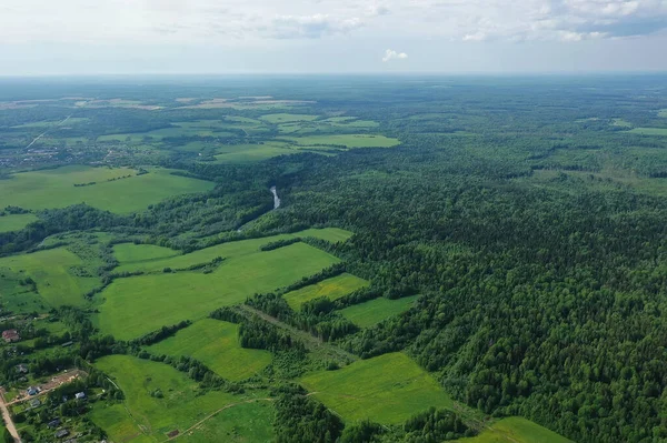 Wald Draufsicht Landschaft Rundumblick Sommerwald Mit Quadrocopter Luftaufnahme — Stockfoto