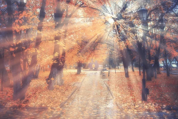 Autumn Landscape Background Sun Rays Forest Park Trees Seasonal View — Stock Photo, Image