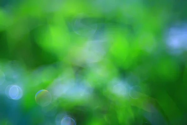 Abstract Green Summer Bokeh Background Gradient View Art Texture Glow — Stock Photo, Image