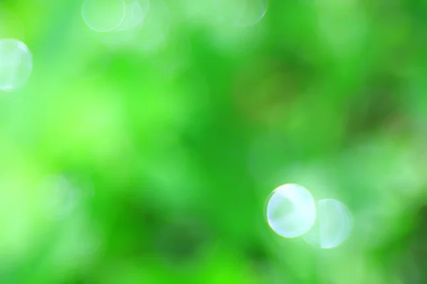 Abstract Green Summer Bokeh Background Gradient View Art Texture Glow — Stock Photo, Image