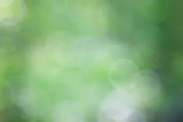 Abstrait Vert Été Fond Bokeh Dégradé Vue Art Texture Lueur — Photo