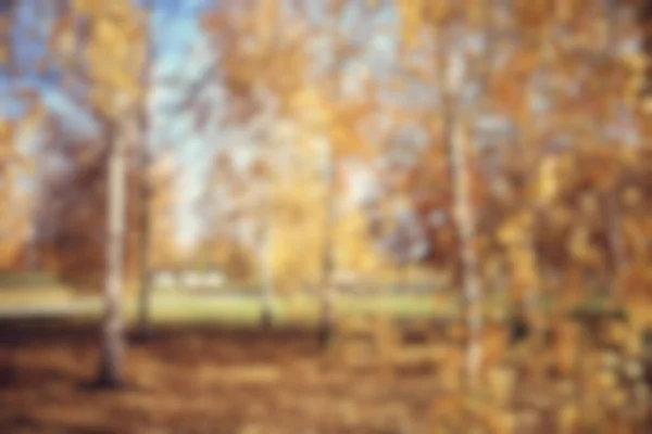 Wazig Achtergrond Herfstbos Abstracte Kunst Zonnig Herfstpark Gloed Geel Oktober — Stockfoto