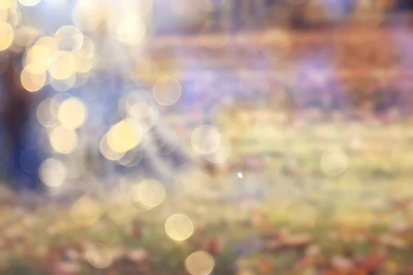 Размытый Фон Осенний Лес Абстрактное Искусство Солнечный Осенний Парк Светящийся — стоковое фото