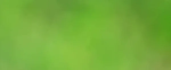 Green Background Panoramic View Long Blurred Gradient Green Summer Abstract — Stock Photo, Image