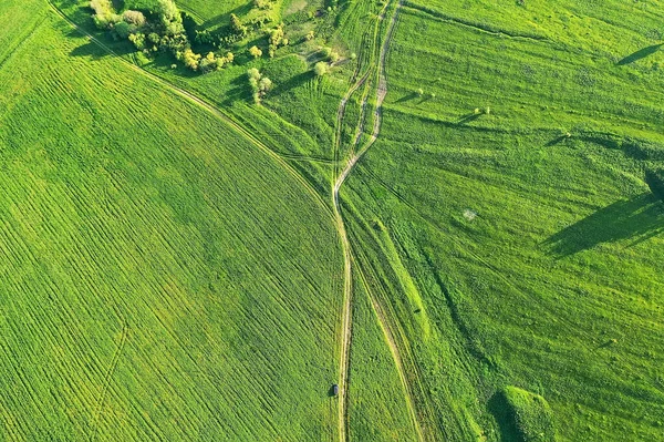 Zelená Tráva Horní Pohled Abstraktní Příroda Pole Pozadí — Stock fotografie