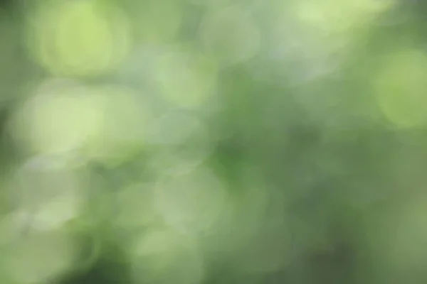 Абстрактний Зелений Літній Фон Боке Градієнтний Вид Мистецтва Текстури Світиться — стокове фото