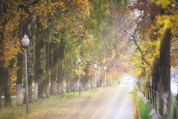 Outono Paisagem Fundo Raios Sol Floresta Parque Árvores Vista Sazonal — Fotografia de Stock