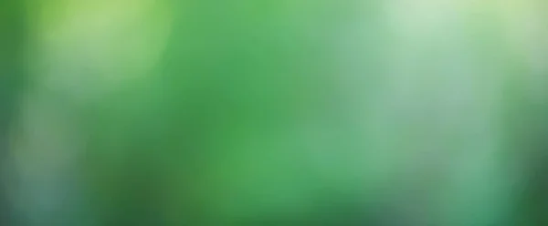 Зеленый Фон Панорамный Вид Длинный Размытый Градиент Зеленый Летний Абстрактный — стоковое фото
