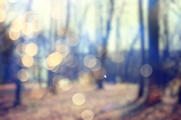 Bulanık Arka Plan Sonbahar Ormanı Soyut Sanat Güneşli Sonbahar Parkı — Stok fotoğraf