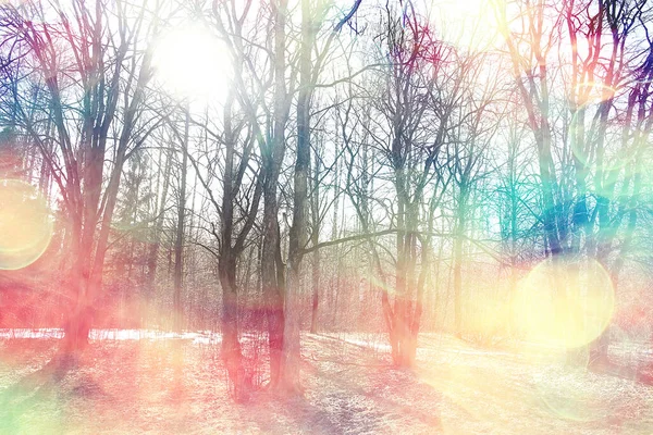 Autunno Paesaggio Sfondo Raggi Sole Nella Foresta Parco Alberi Vista — Foto Stock