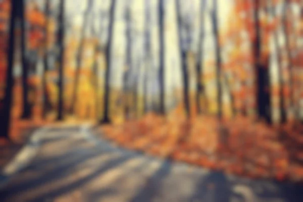 Homályos Háttér Őszi Erdő Elvont Művészet Napos Őszi Park Világító — Stock Fotó