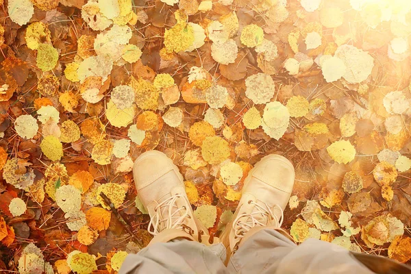 Abgefallene Blätter Herbst Abstrakter Hintergrund Gelbe Blätter Oktober Park Saisonales — Stockfoto