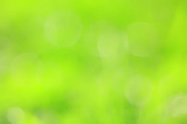 抽象的な緑の夏のボケ背景グラデーションビューアートテクスチャーグロー — ストック写真